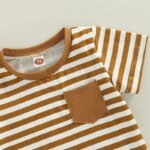 Toddler Boy Striped T-Shirt & Shorts Set - Brown